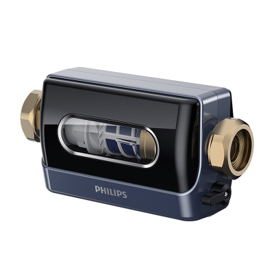 飞利浦10T前置全铜反冲洗过滤器