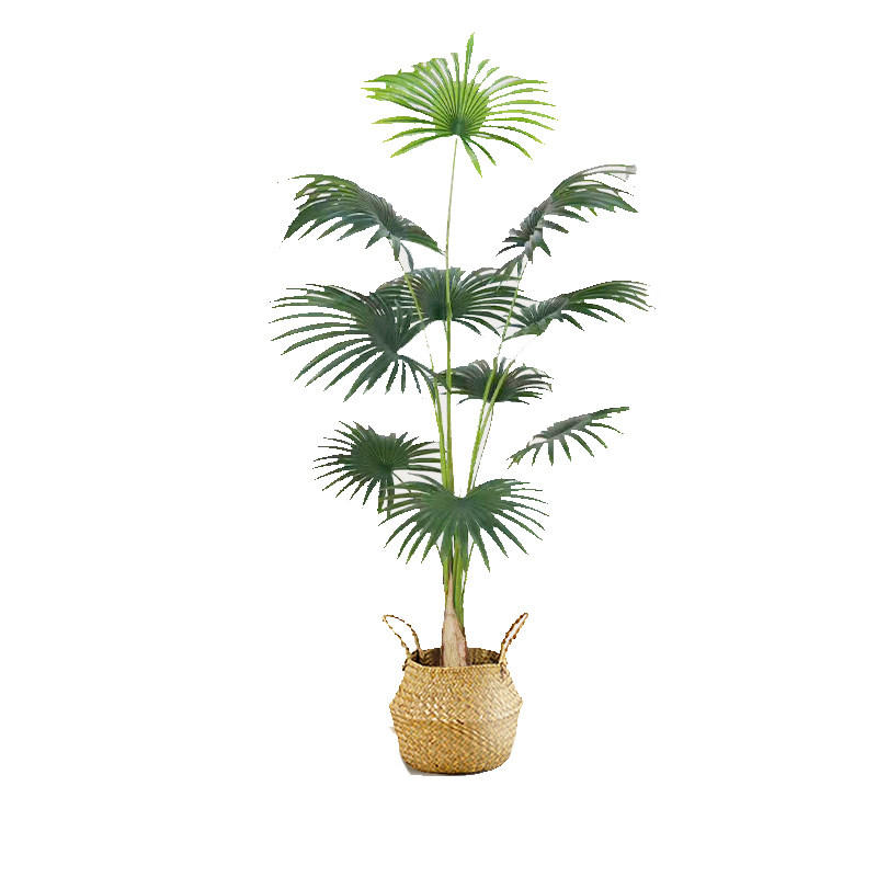 甄选品质轻奢仿真绿植浦葵树