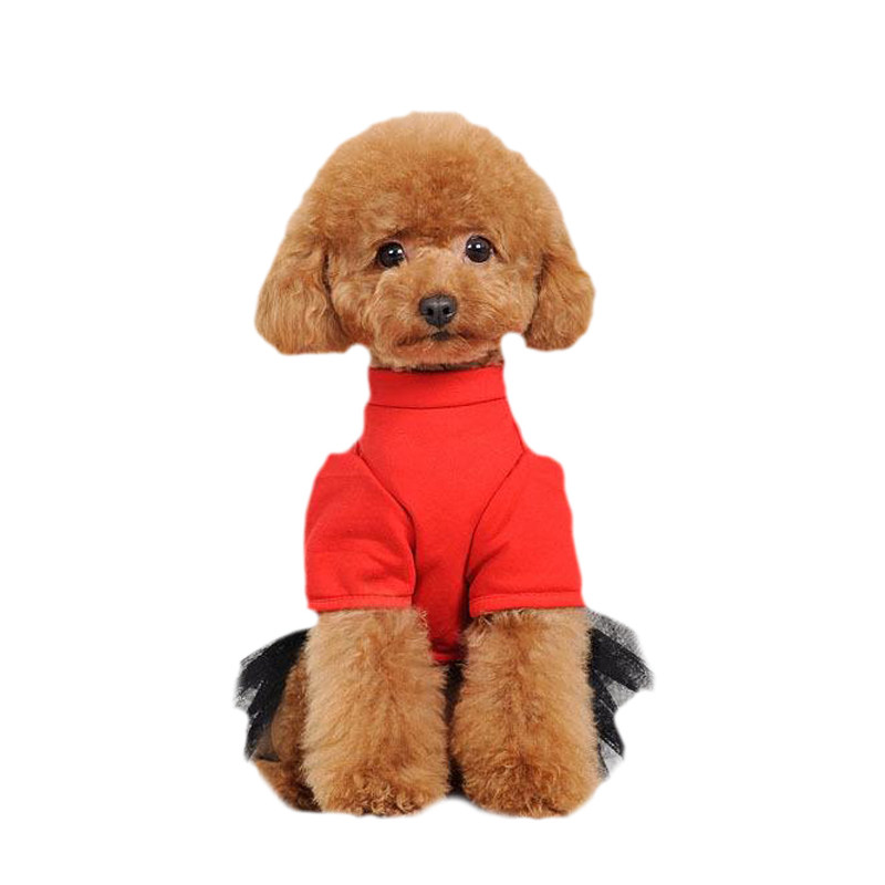 蛋黄奶糕幼犬粮金毛泰迪通用狗粮