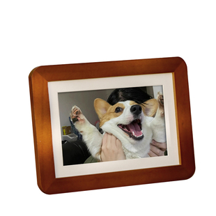 宠物纪念相框摆台空框高级感实木照片相框六寸七寸洗照片做成相框