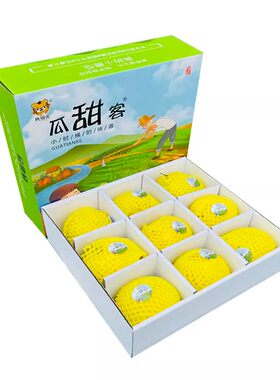 挑剔虎头茬马连庄甜瓜礼盒装脆甜