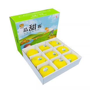 头茬青岛马连庄甜瓜礼盒装挑剔虎小香瓜非羊角蜜罐甜瓜绿宝脆甜