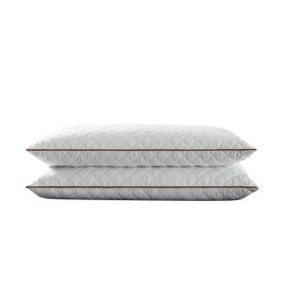 天然荞麦枕头成人儿童枕头纯荞麦皮全荞麦壳枕芯护颈椎枕乔麦枕蕊