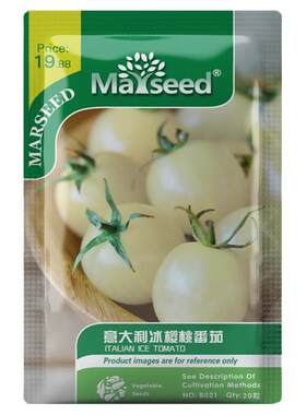 【掌柜推荐】奶白番茄意大利冰种