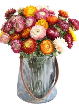 天然小雏菊干花真花风干干花束