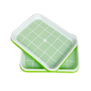 室内蒜苗盆栽大蒜种植盆种红葱头神器家庭阳台种菜盘栽种蒜黄水培