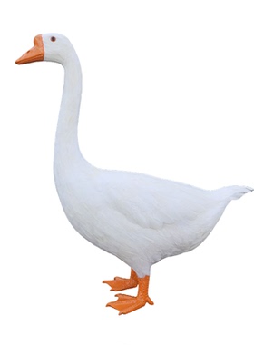 仿真鹅模型拍照大白鹅摆件道具