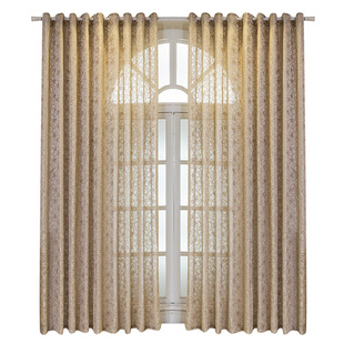 现代轻奢梦幻纱帘透光不透人客厅卧室遮光阳台防晒咖色窗帘纱高档