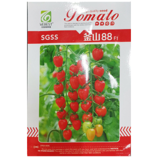 釜山88千禧小番茄种子种籽孑苗秧玲珑圣女果四季蔬菜果苗秧苗籽种