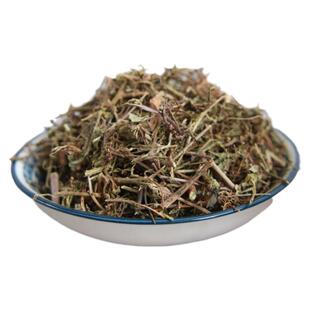 叶下珠 中药材 叶下珠草药 叶下珠茶 珍 珠草 珠仔草 叶下竹 500g