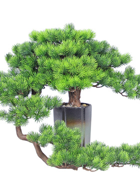 软装家居轻奢酒柜玄关花架迎客松