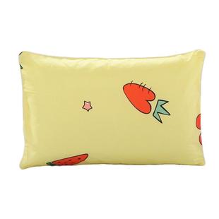 儿童枕套100%纯棉卡通全棉宝宝学生幼儿园拉链枕头套30×50可爱枕