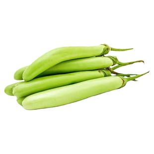 青皮茄子绿色本地青茄子绿茄子长茄笨茄子新鲜现摘现发瓜果长茄子