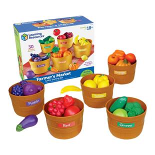 美国Learning Resources儿童过家家仿真大号蔬菜水果益智早教具LR