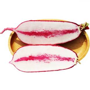 穿心红水果萝卜种子紫到心红皮红肉种籽四季甜脆蔬菜种孑紫美人