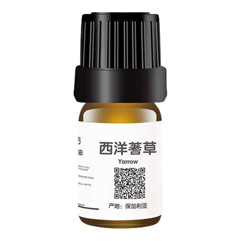 西洋蓍草单方精油强效抗敏