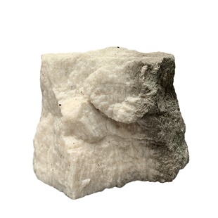 吴定石原石吸水石上水石菖蒲附石捕虫堇定植假山造景花盆桌面观赏