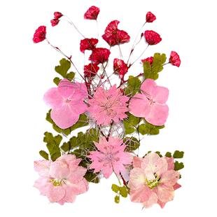 幼儿植物标本押花diy材料包干花压花贴脸材料混合小包相框书签