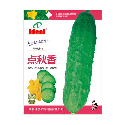水果黄瓜种子春秋瓜种籽种孑青瓜旱黄瓜菜种老品种春秋蔬菜种子