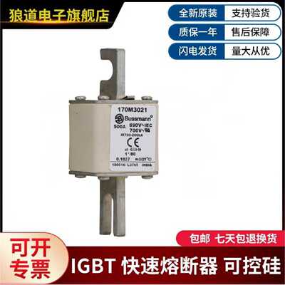 美国伊顿巴斯曼熔断器170M3062170M3063170M3064