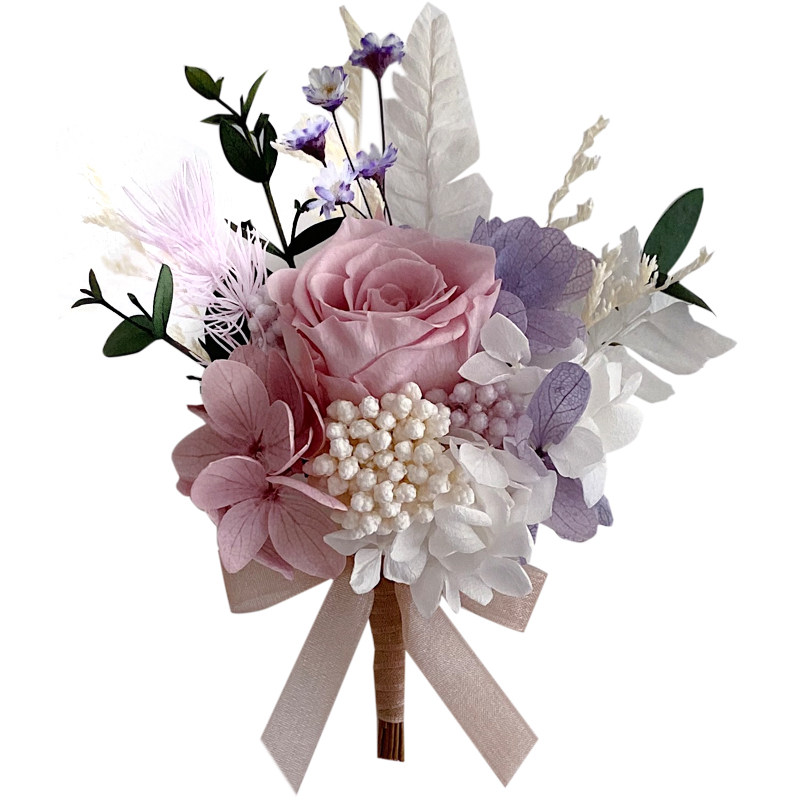 粉紫胸花莫奈紫手腕花