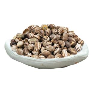 坦克虫蜜袋鼯粮食零食小蜜活虫卵杨拉罐洋辣子仓鼠食物活食金丝熊