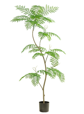 【央ma推荐】仿真绿植蓝花楹