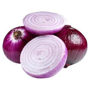 现挖新鲜紫皮洋葱水果农家自种蔬菜红皮整箱圆葱水果生吃产地直发