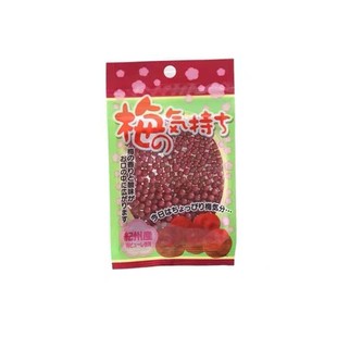 日本本土星本丁梅子糖男梅生梅饴糖果孕妇儿童小糖果开胃零食品