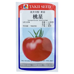 日本桃太郎桃星番茄种子传统西红柿籽口感番茄春季四季种籽毛粉种