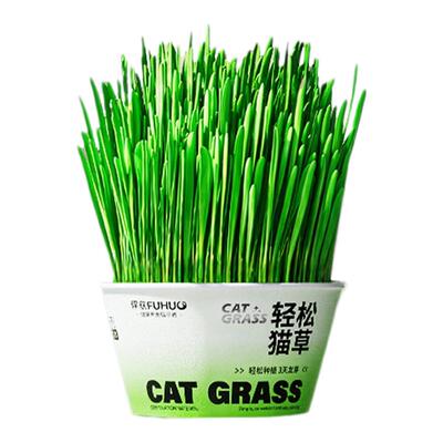俘获F2狗草浇水即可长不出可退