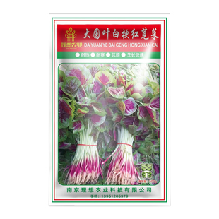 大圆叶白梗红苋菜种子青苋菜种籽蔬菜种子大全四季盆栽阳台菜种孑