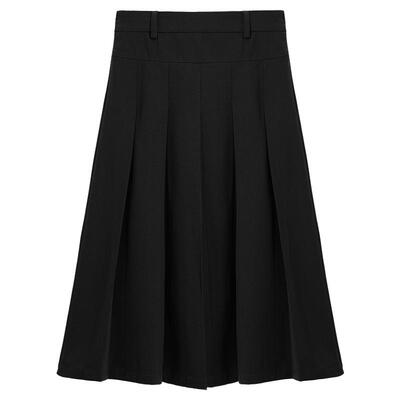 通勤纯色A字百褶半身裙