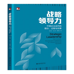 战略领导力 中国企业运作的理念 过程与效果 张志学  张三保 易希薇  中文版 北京大学出版社 9787301340943