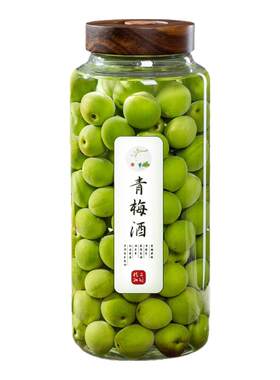 泡酒专用酒瓶青梅酒发酵罐高档果酒瓶家用酿酒罐玻璃装酒密封空瓶