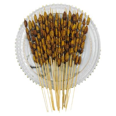 烧烤油炸小蚕蛹家庭商用半成品