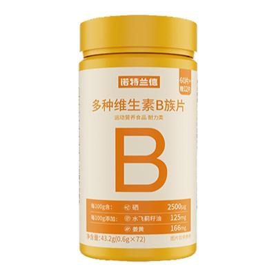 诺特兰德多种维生素b族片