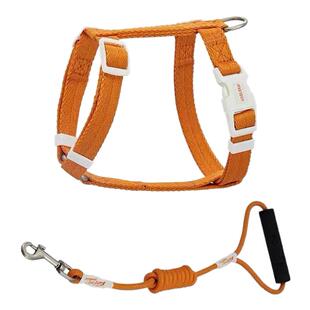 ZOOLAND猫咪通用胸背牵引绳防挣脱遛猫绳子小猫可调节工字型胸背