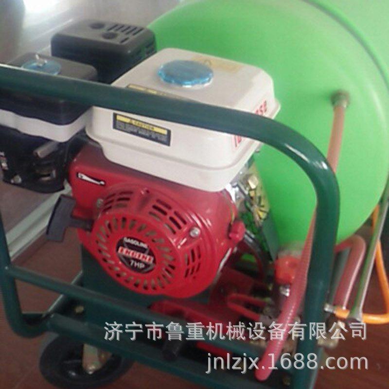 生产手推式160L打药机 手推高效园林喷雾打药机 物美价廉,农机/农具/农膜,打药机/弥雾机,淘宝优惠券,粉丝福利购,淘宝优惠卷