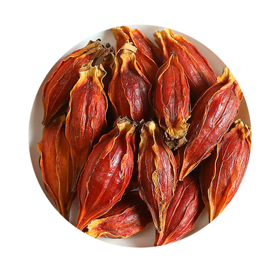 黄栀子果500克食用红枝子粉大全