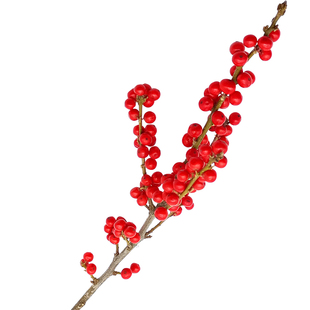 春节正常发货顺丰包邮进口北美冬青鲜花切花AAA级年宵富贵籽冬青