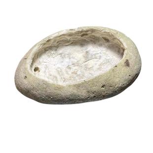 水族纯天然珊瑚海水缸观赏红绿奶嘴地毯海葵窝防逃跑窝小丑鱼躲避