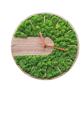 实木永生苔藓森系绿植墙创意自然