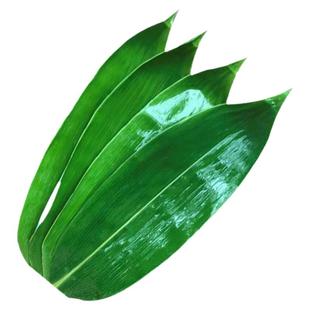 粽叶新鲜现摘箬竹叶包粽子叶子江西野生真空包装特大粽子叶100片