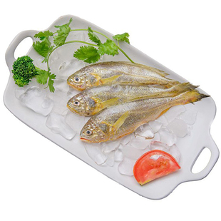 舟山黄鱼小黄鱼新鲜冷冻4斤装深水海捕小黄花鱼鲜活海鲜水产包邮