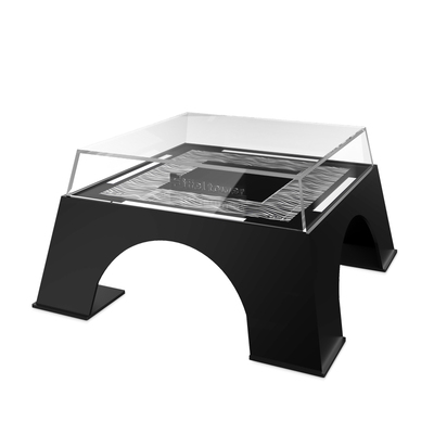 LYB乐高10307巴黎埃菲尔铁塔