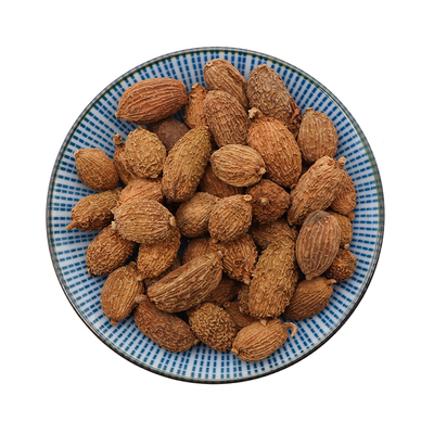 砂仁米西毛砂仁干果煲汤泡水