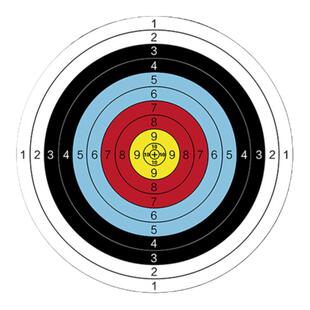 弓箭射箭射击靶纸彩印靶图40x40CM比赛练习靶架靶子打靶纸