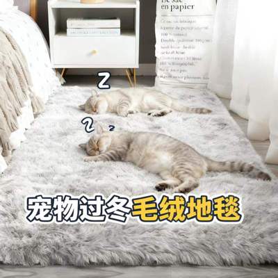 宠物专用毛毯防撕咬小狗狗猫咪垫子睡觉用冬加厚毛绒防滑定制地毯