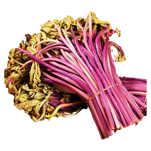 新鲜清水蕨菜10斤装当季采摘龙爪菜凉拌火锅麻辣烫下饭菜食材包邮